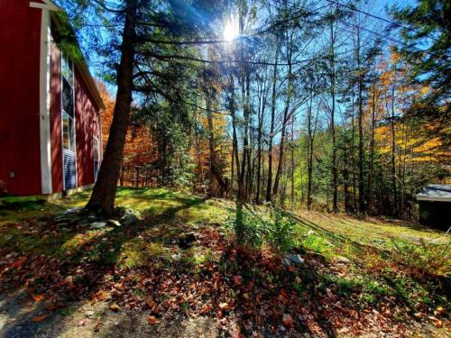 Warren House | Fiddlehead Greens