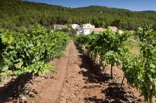 L'Avella House | Finca Can Romeu: alojamiento rural entre viñedos