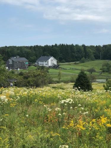 Redfield House | Fireball's Lodge