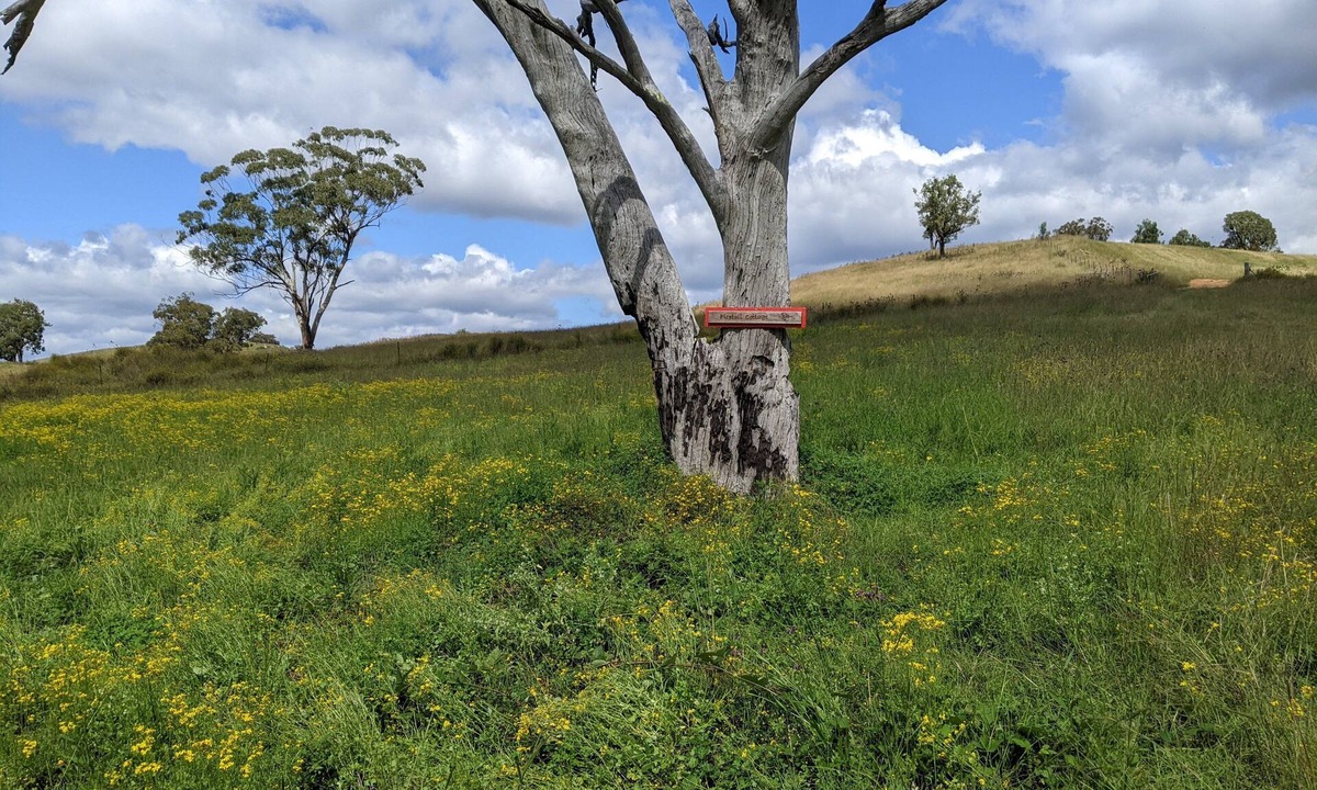 Capertee Cottage | Firetail Cottage in the secluded Capertee Valley