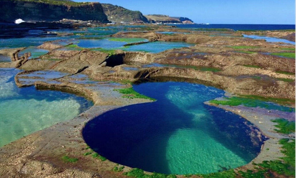 Maianbar House | FISHERMAN'S BAY BUSH COTTAGE