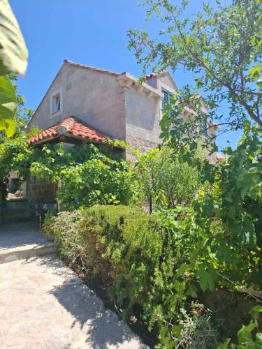 Mocici House | Fishing Family House