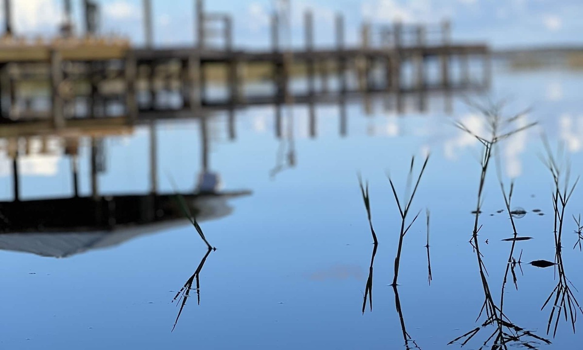 Fedhaven House | Fishing For a Peaceful Lakefront Getaway