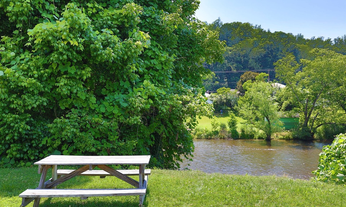 Bassett Condo | Fishing, Kayaking, Pet-friendly on the Smith River