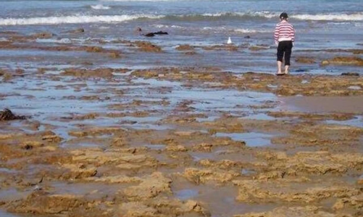 Ocean Grove House | Five Minutes Strolling