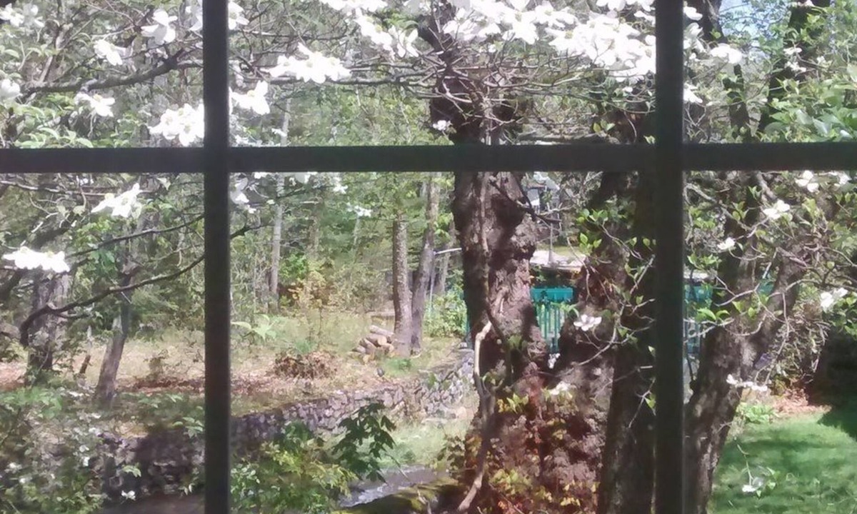 Maggie Valley Cabin | Five Star Inn