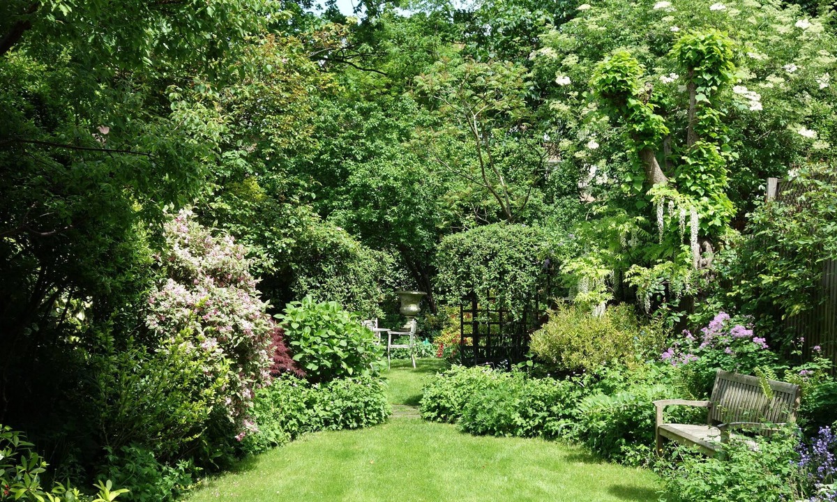 Belsize Apartment | Five Star Super-host Belsize Garden Apt