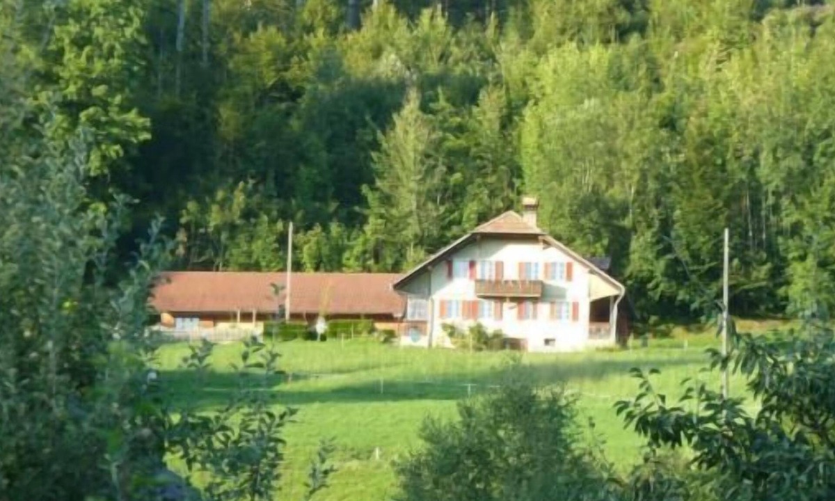 Heubach Apartment | Flat "Südhang Rüschegg"