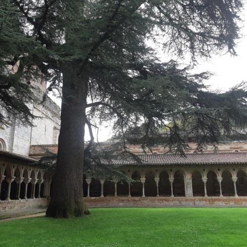 Moissac Apartment | FLEUR D'YLANG