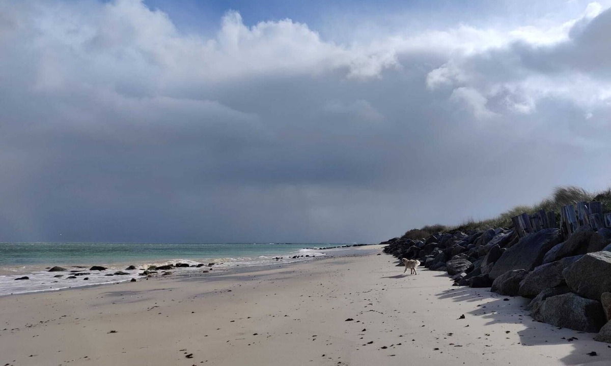 Montfarville House | Fleur & Mer