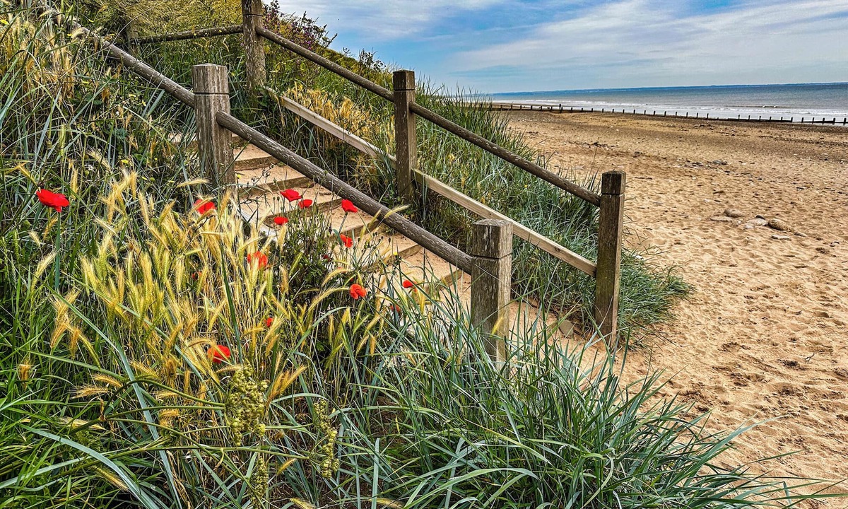 Hornsea Cottage | Flittermouse Barn