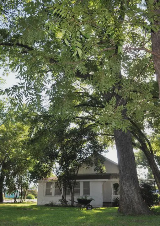 Llano Bed & Breakfast | Flossie's Cottage at Flossies Corner Bed And Breakfast