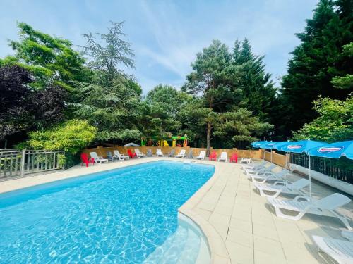 Camon Other | Flower Camping La Pibola