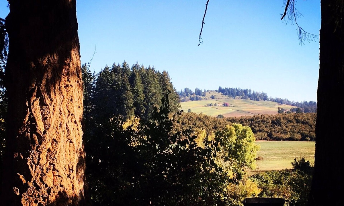 Dayton House | Flower Farm with Vineyard Views