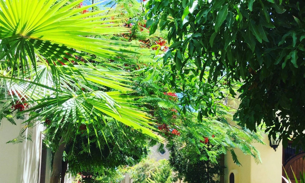 Nopolo Villa | FN246- 3 Bedroom Private Villa