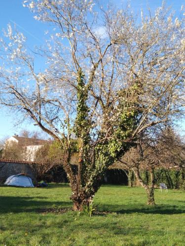 La Chapelle la Reine Other | Fontaineblhostel hostel & camping near Fontainebleau