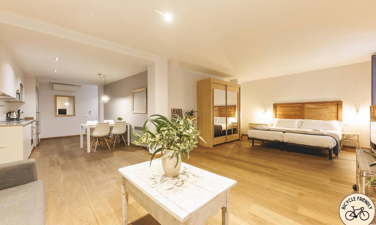 Barri Vell Apartment | Força 17 Pedra - Apartment Girona | Bravissimo