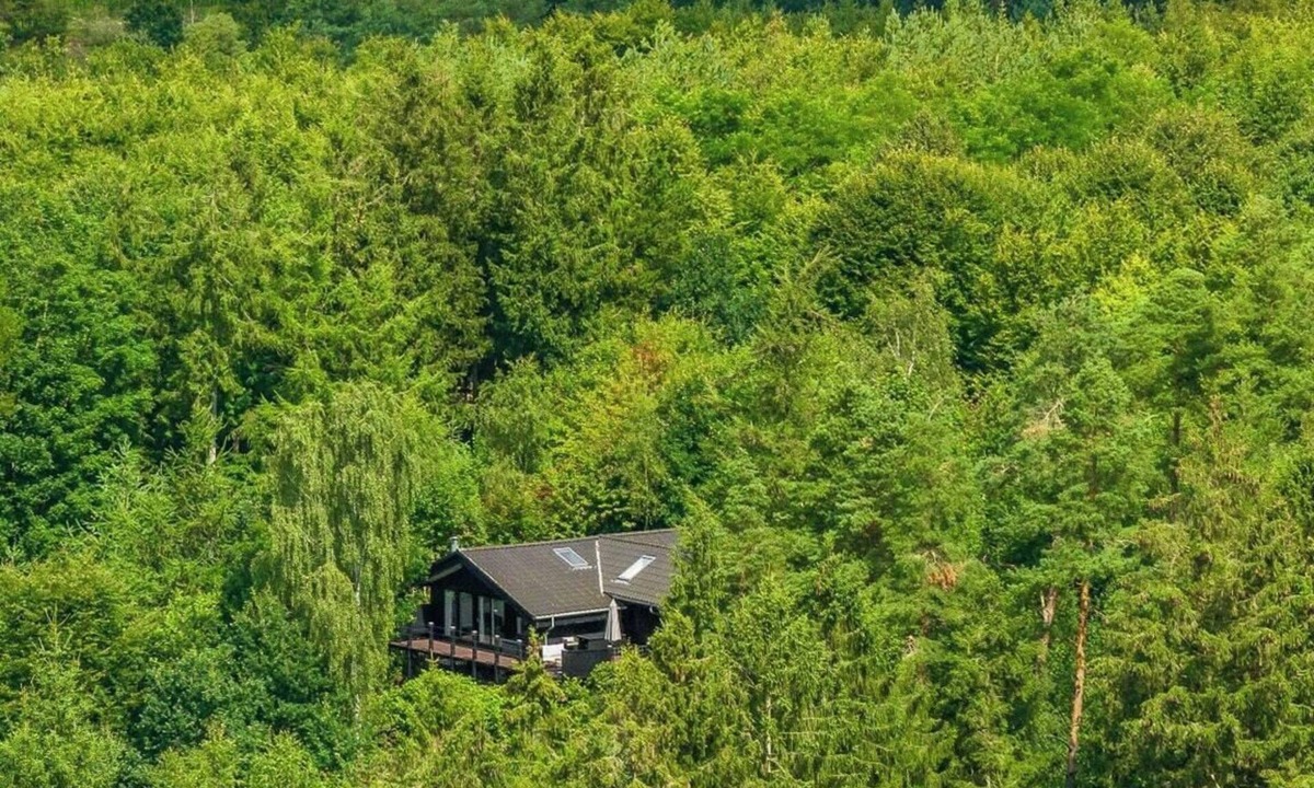 Bryrup House | Forest cabin overlooking Bryrup Langsø
