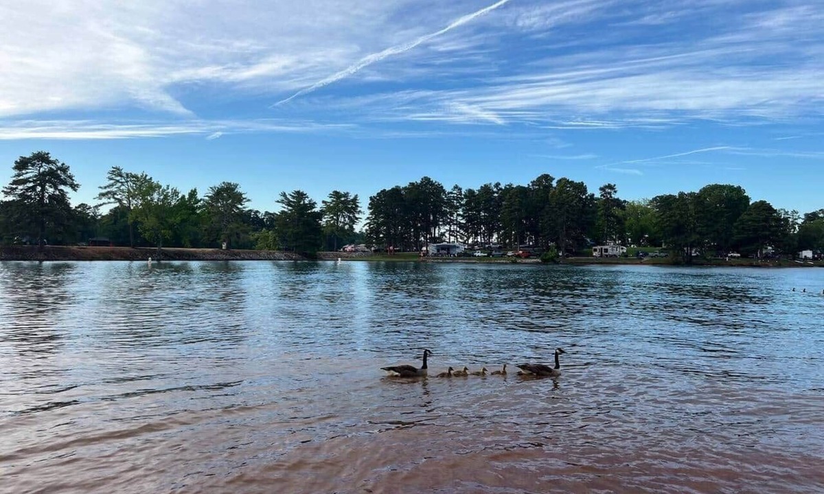 Westminster Apartment | Forest Comfort Modern 2BR by Lakes & Clemson