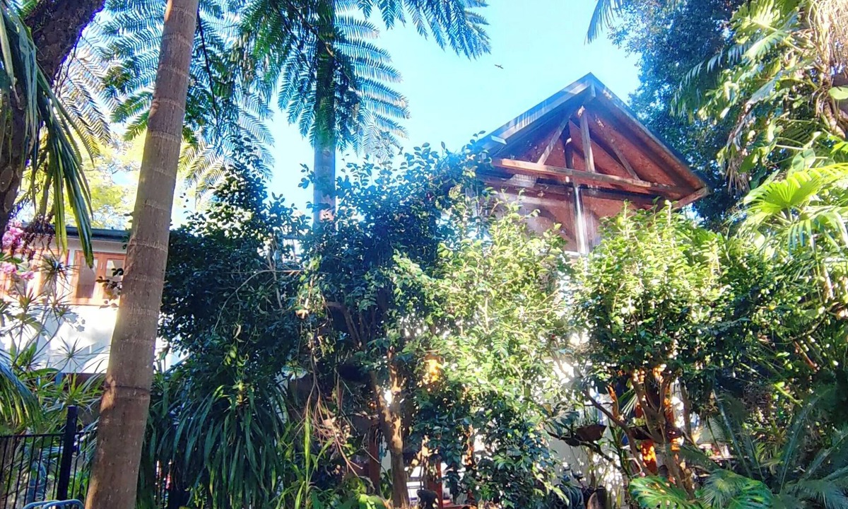 Baulkham Hills House | Forest Retreat 30 mins from Sydney CBD