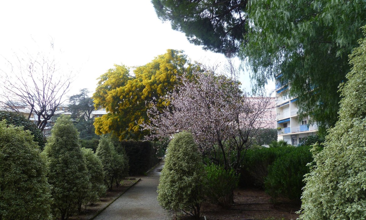 Frejus Plage Apartment | forget your car during your holidays