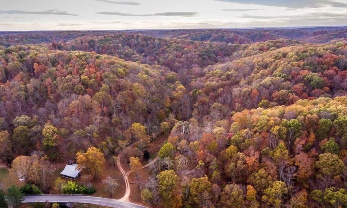 Franklin Cabin | Fork Inn's Pond Cottage (2BR/1Bath), HotTub Option