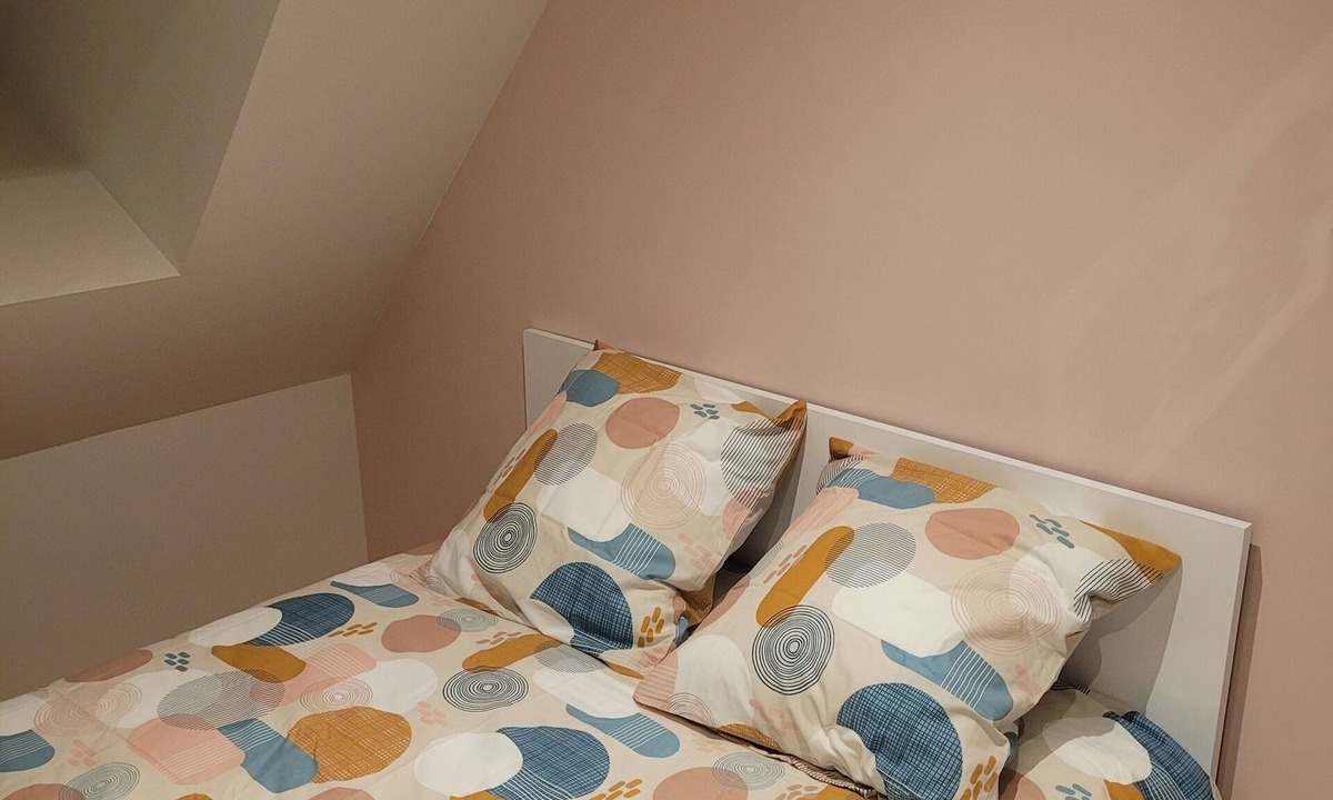 Messeix House | Forsythias