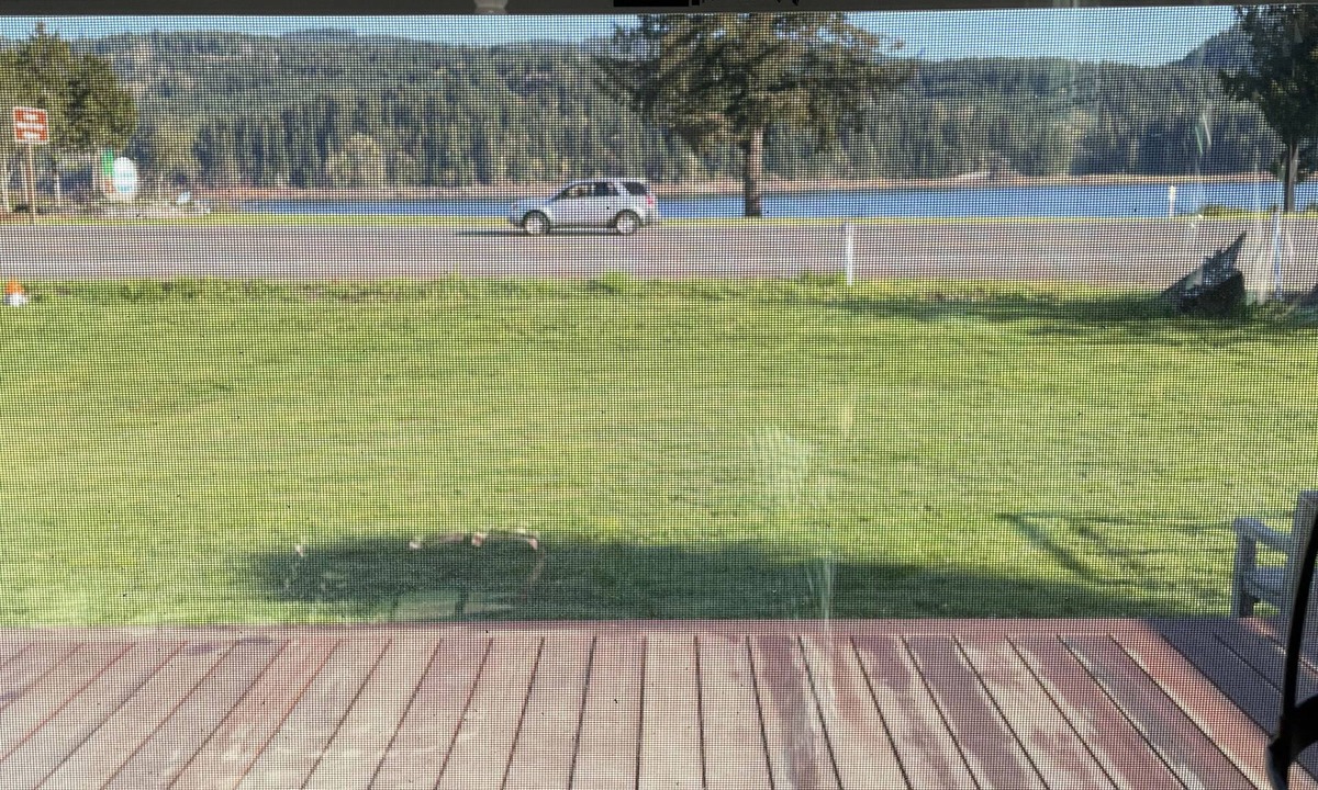 Sweet Home House | Foster Lake Inn