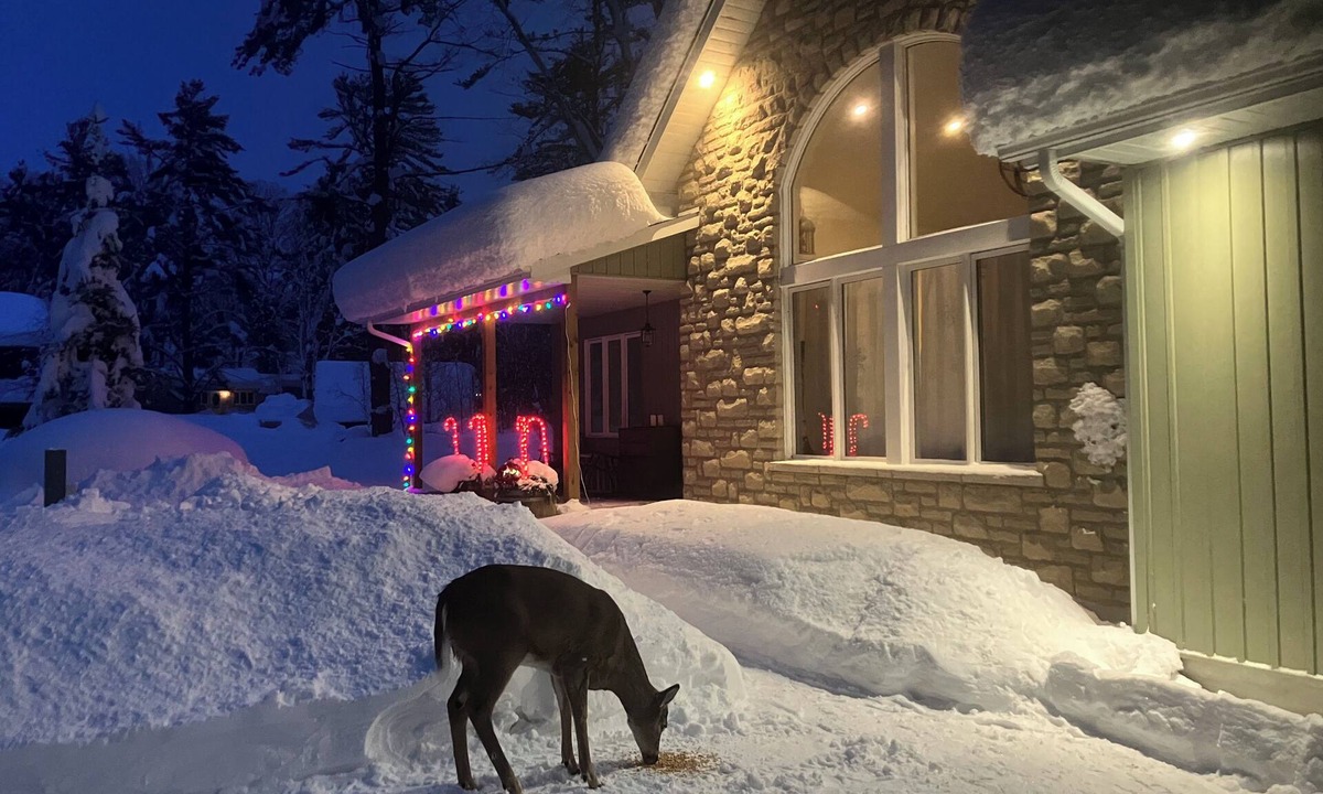 Gravenhurst Cottage | Four-season Cottage with a shared private beach in Muskoka!