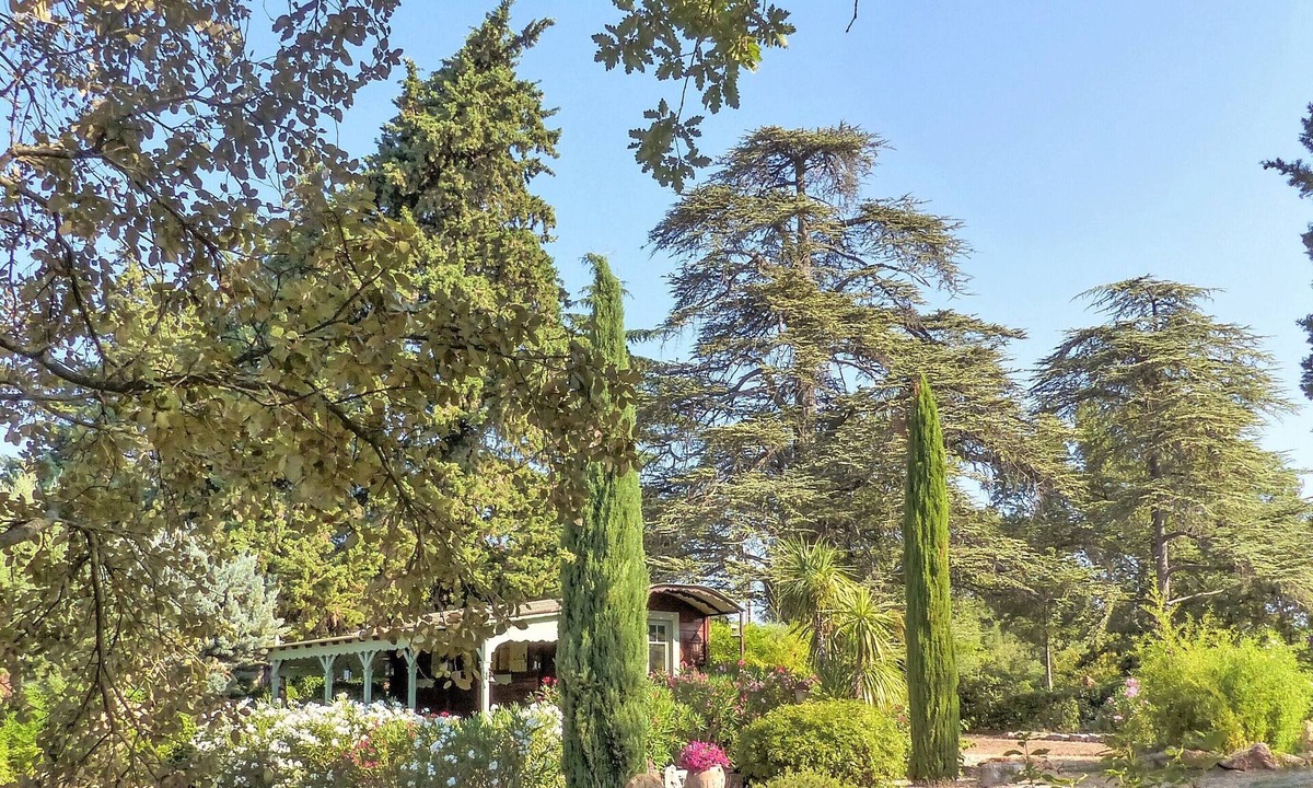 Saint-Maximin-la-Sainte-Baume House | Domaine de Conillières - Lodge Bois de Cèdre