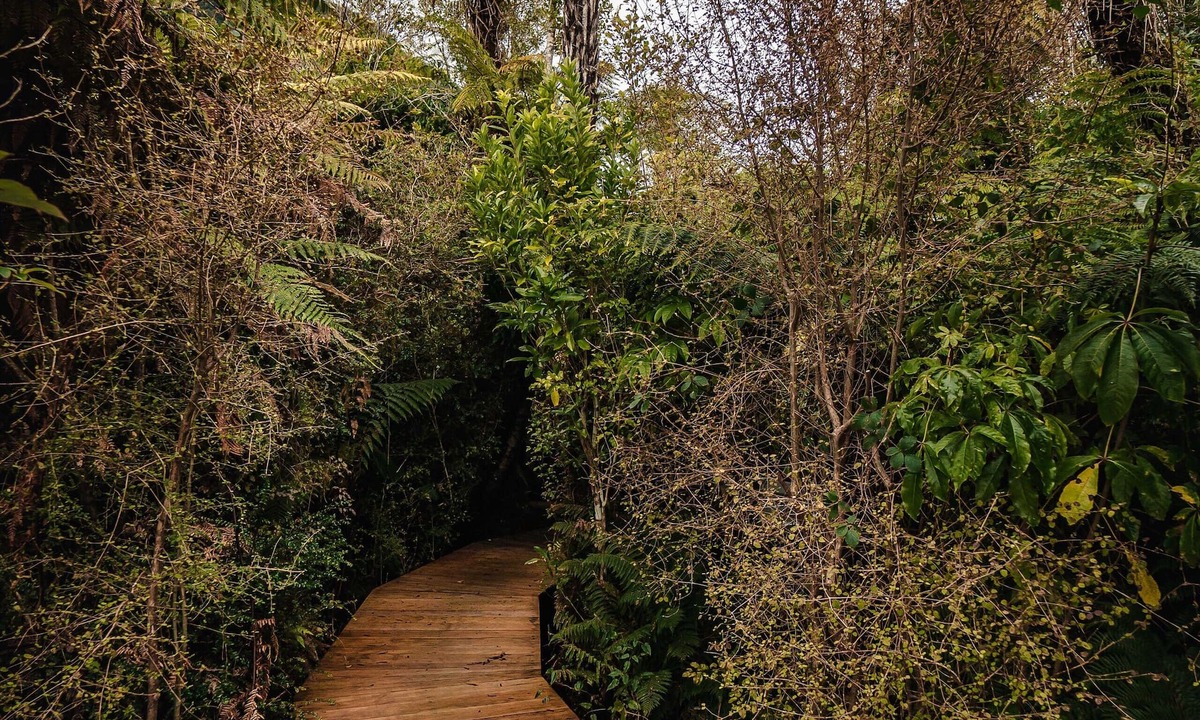 Franz Josef Glacier House | Franz Josef Treetops