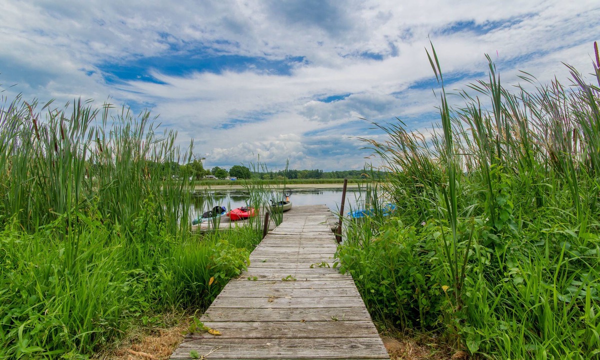 Clayton Cabin | French Creek Retreat. Dock, Deck & Game Bunkhouse. Sleeps 10