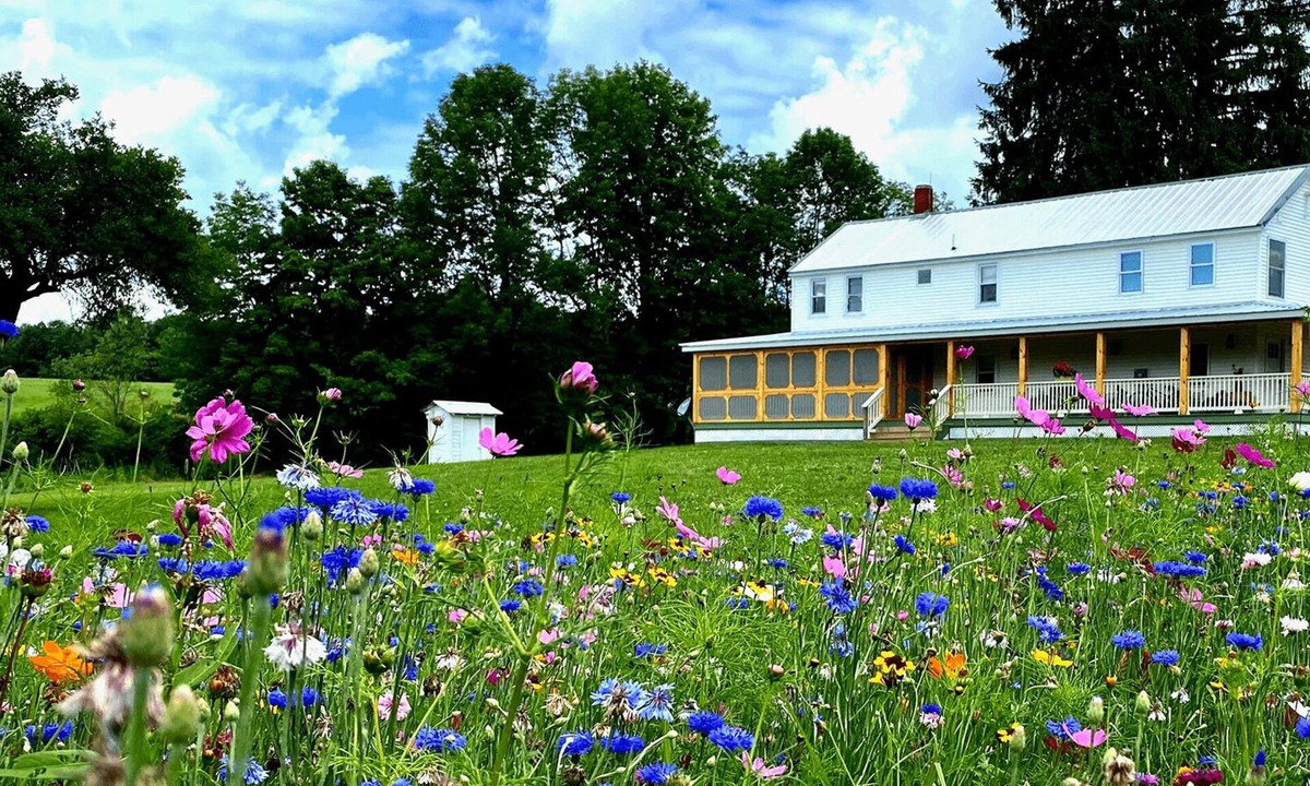 Fishs Eddy House | FRENCH WOODS FARMHOUSE | TimeOut NY's Pick | Hot tub | Pond | Dogs OK | NYC=2hr