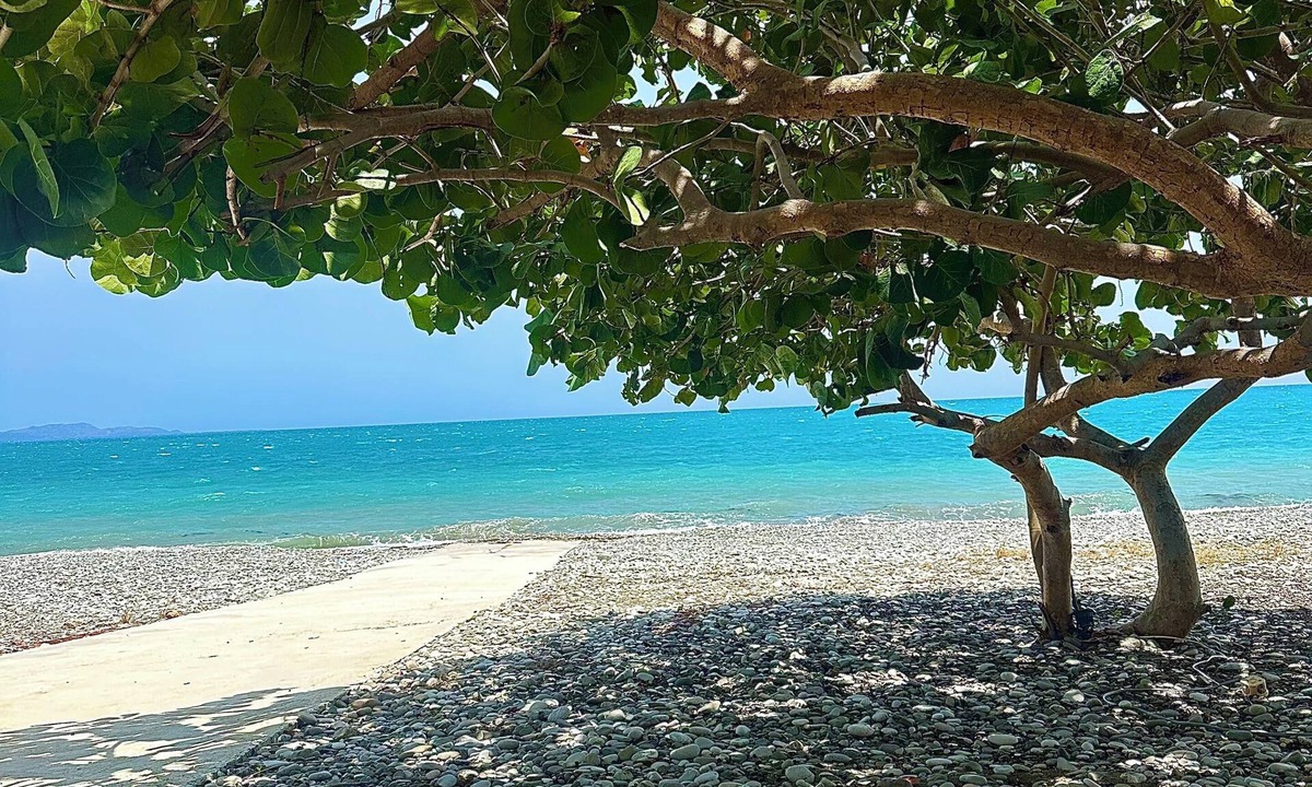 Las Charcas Villa | Front beach Villa