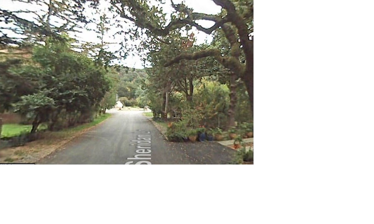 Martinez Apartment | Fun Art Studio, Quiet Wooded Cul-de-Sac area