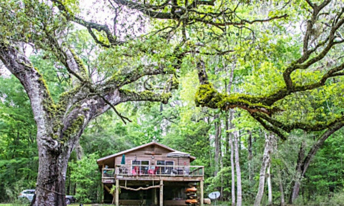 Branford Cabin | Fun House on the Santa Fe River
