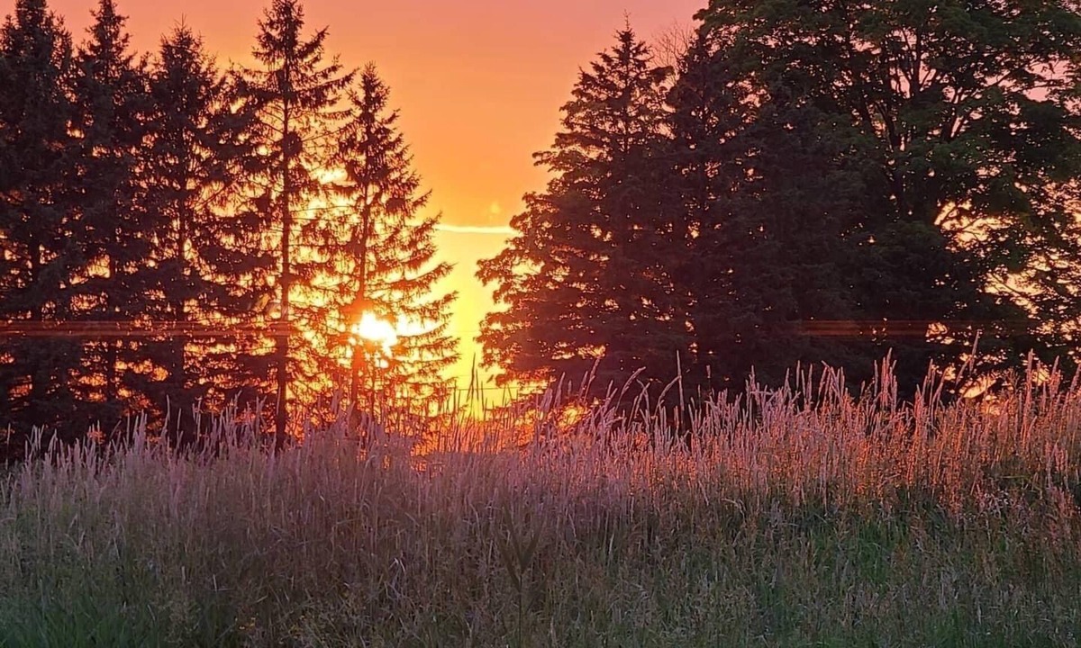 Ashburn Apartment | Fun on Our Family Farm. Visit Horses and Goats. 100 Acres to Explore.