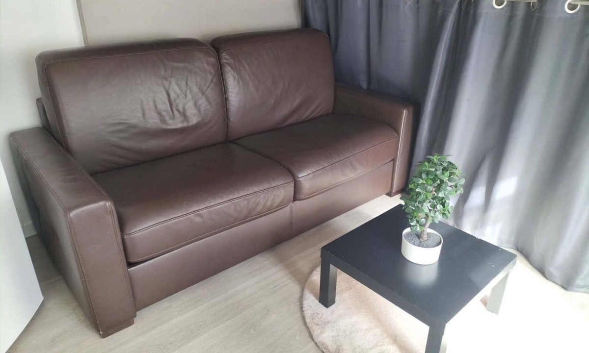 Faubourg North Apartment | FURNISHED STUDIO DOWNTOWN DIJON FOR RENT