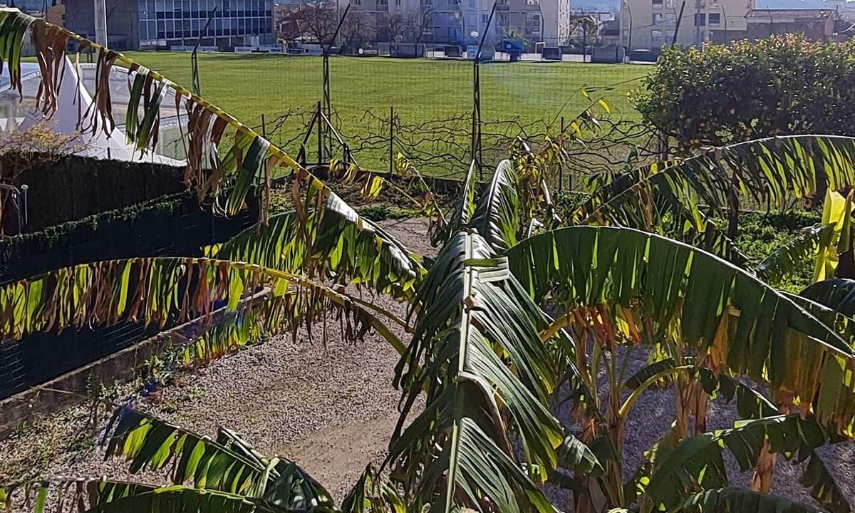 La Valette-du-Var Apartment | Furnished T6 apartment