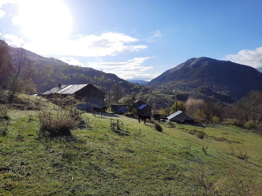 Senconac House | Gîte à la ferme calme et chaleureux avec cheminée.