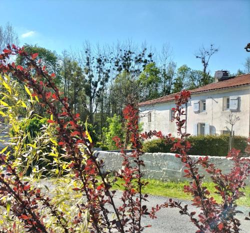 Courcoury Apartment | Gîte 2 personnes