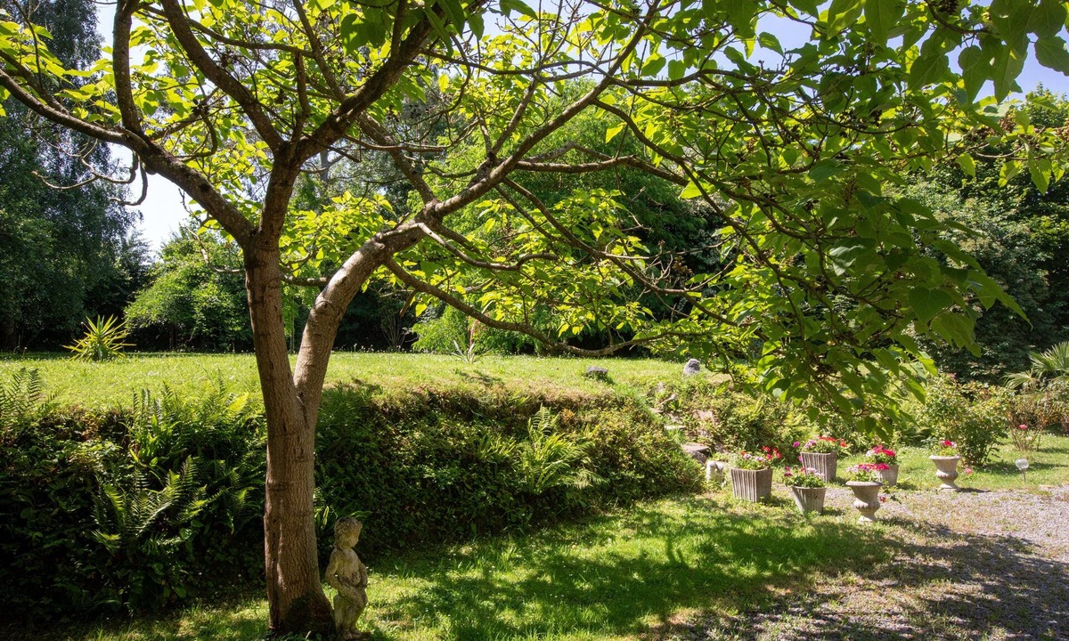 Saint-Denis-le-Gast Cottage | Gîte 3* bocage, beaches, Mt-St-Michel, Bayeux, D-Day, Granville, Villedieu