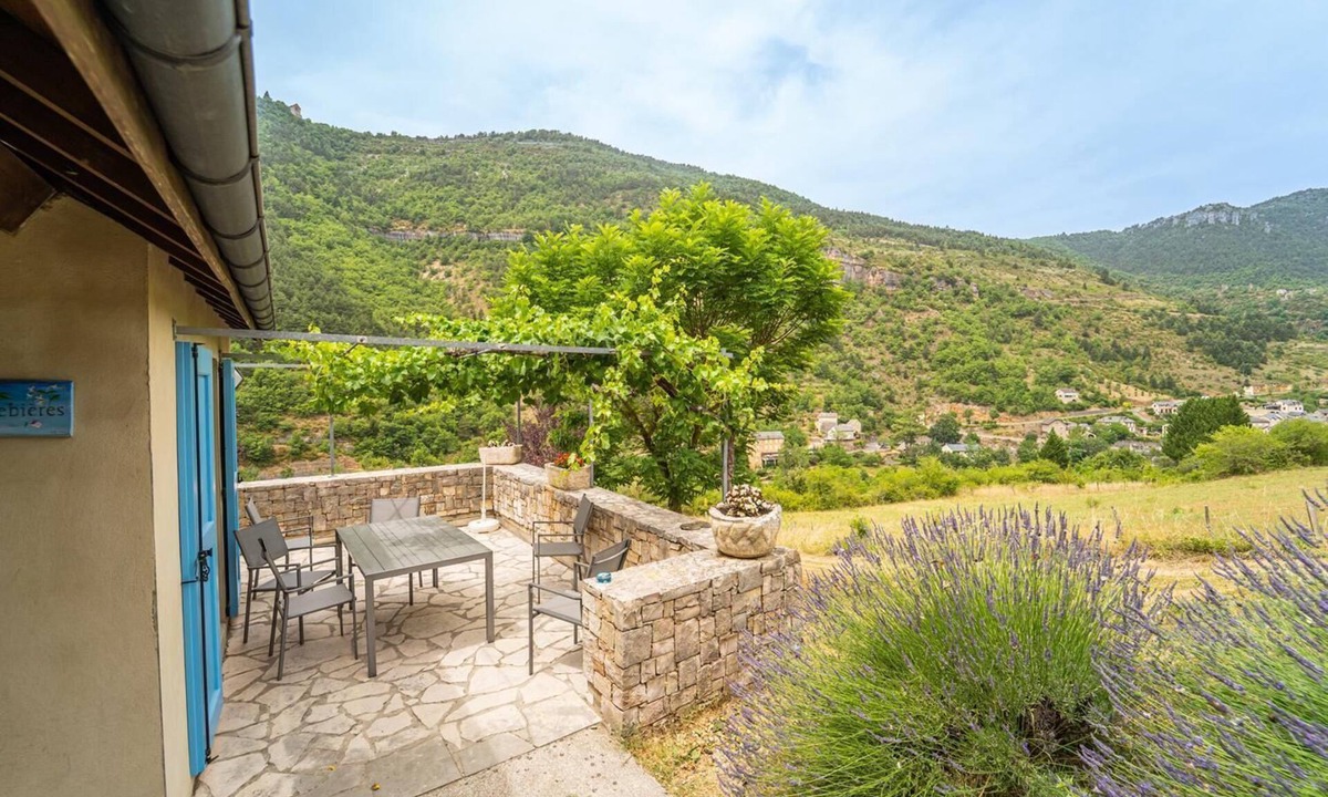 Saint-Rome-de-Dolan House | Gîte 4/6 pers. Premium Plus at Castel de la Peyre