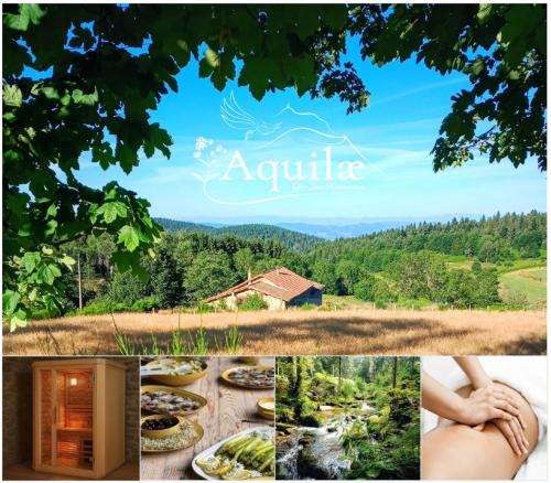 Vollore-Montagne House | Gîte Aquilæ - Nature, sauna & bain nordique privatifs