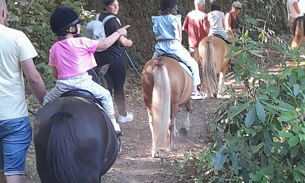 Lasalle Other | Gîte at the equestrian farm Les poneys du val d'emeraude