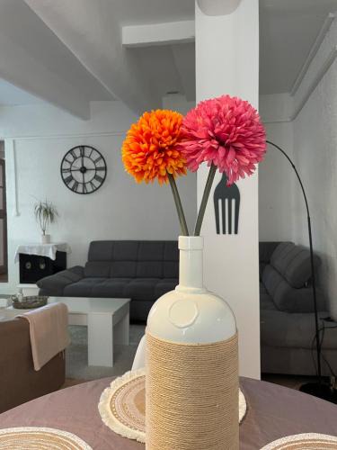 Capestang Apartment | Gîte au cœur des vignes, près du canal du Midi