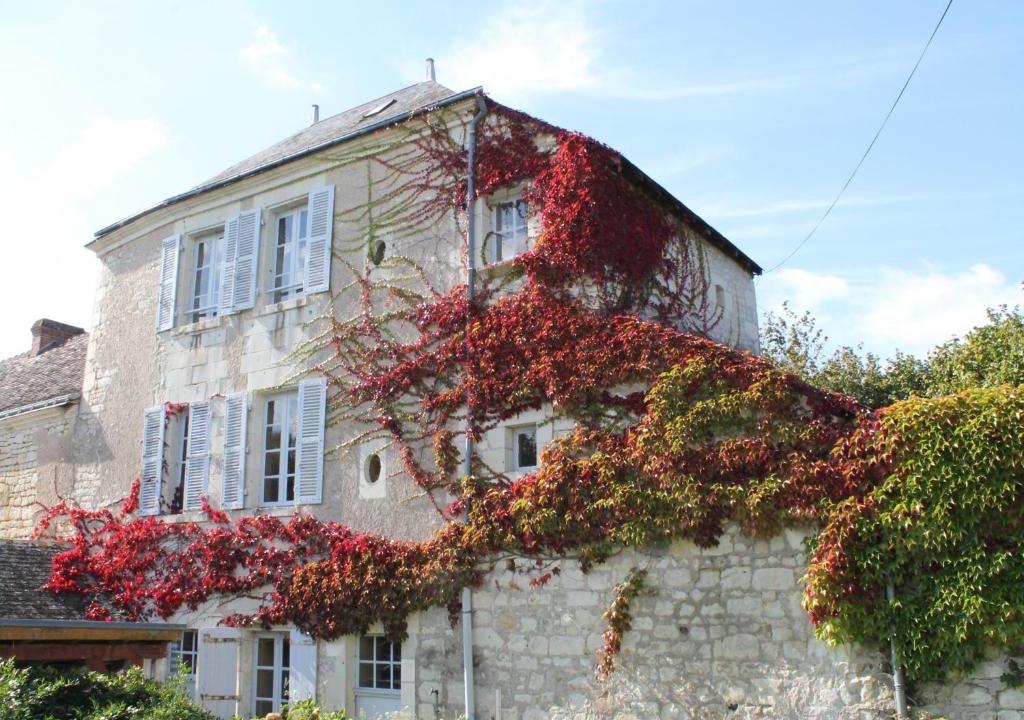 La Roche-Posay House | Gîte au calme avec jardin et WIFI à La Roche-Posay - FR-1-541-52