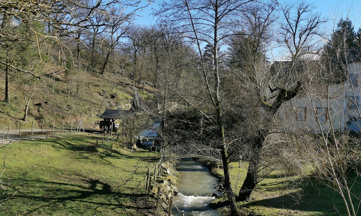 Naucelle House | Gîte au Moulin (Loft) Pets welcome!