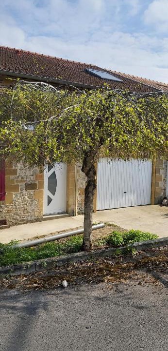 Quatre-Champs House | Gîte Betula