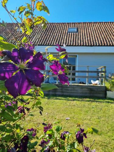 Questrecques House | Gîte Côte et Terre